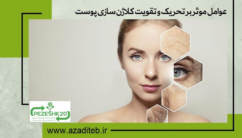 عوامل موثر بر تحریک و تقویت کلاژن سازی پوست